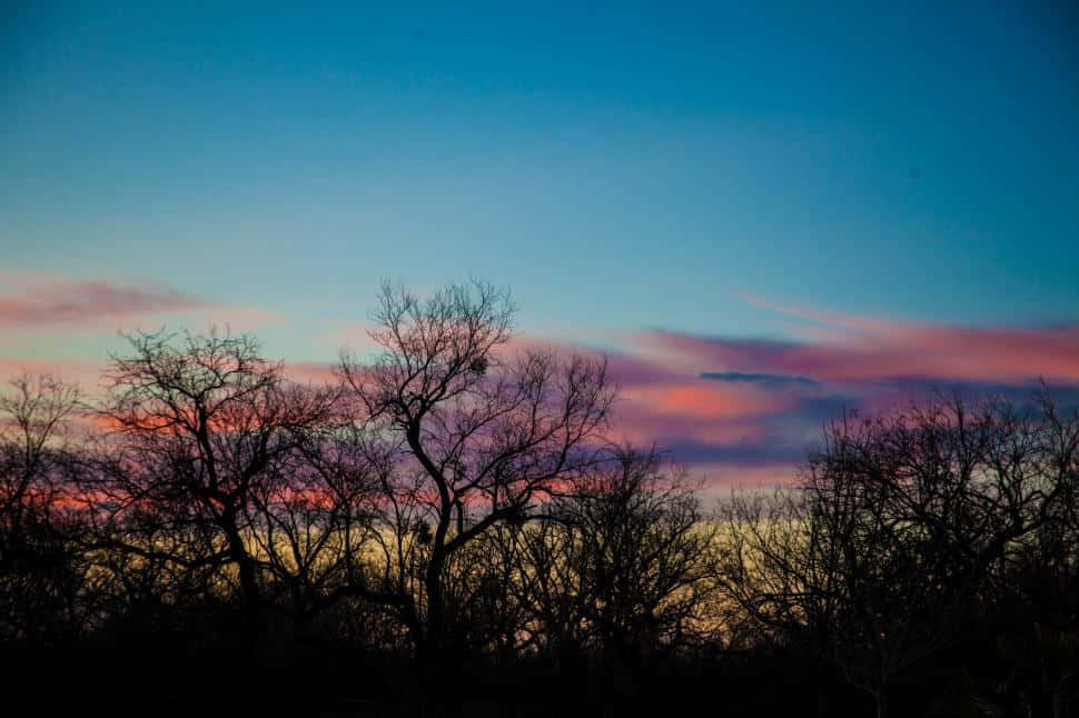 Pretty Light Blue Sunset Picture