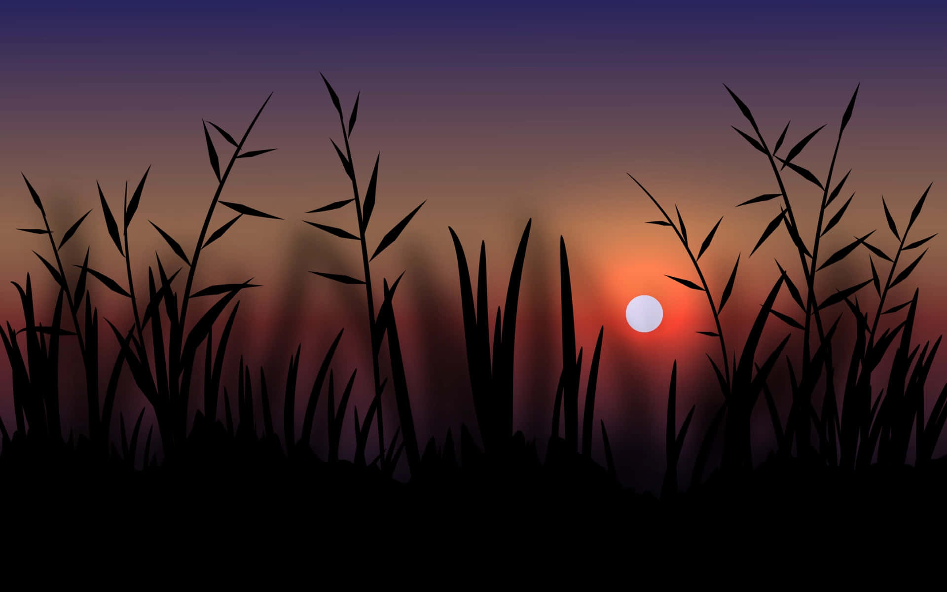 Skygge af græs mod smuk solnedgang billede
