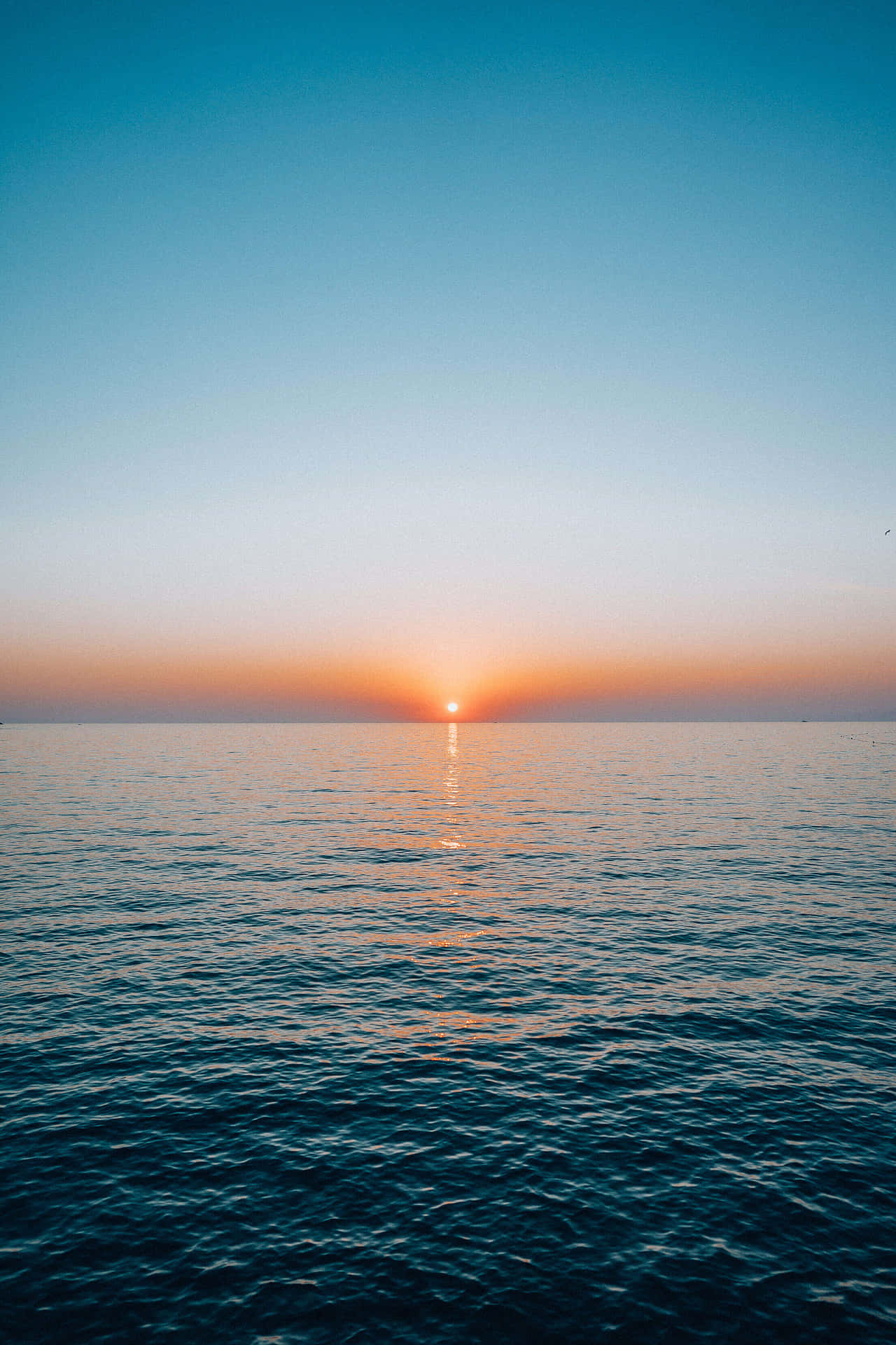 Hübschessanftes Blaues Sonnenuntergangsbild