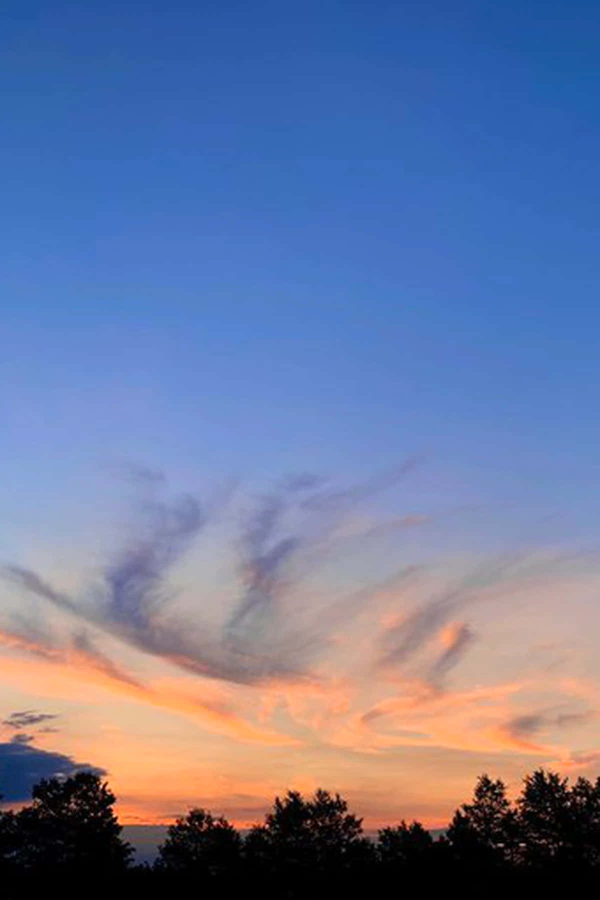 Vackergradientblå Solnedgångsbild.