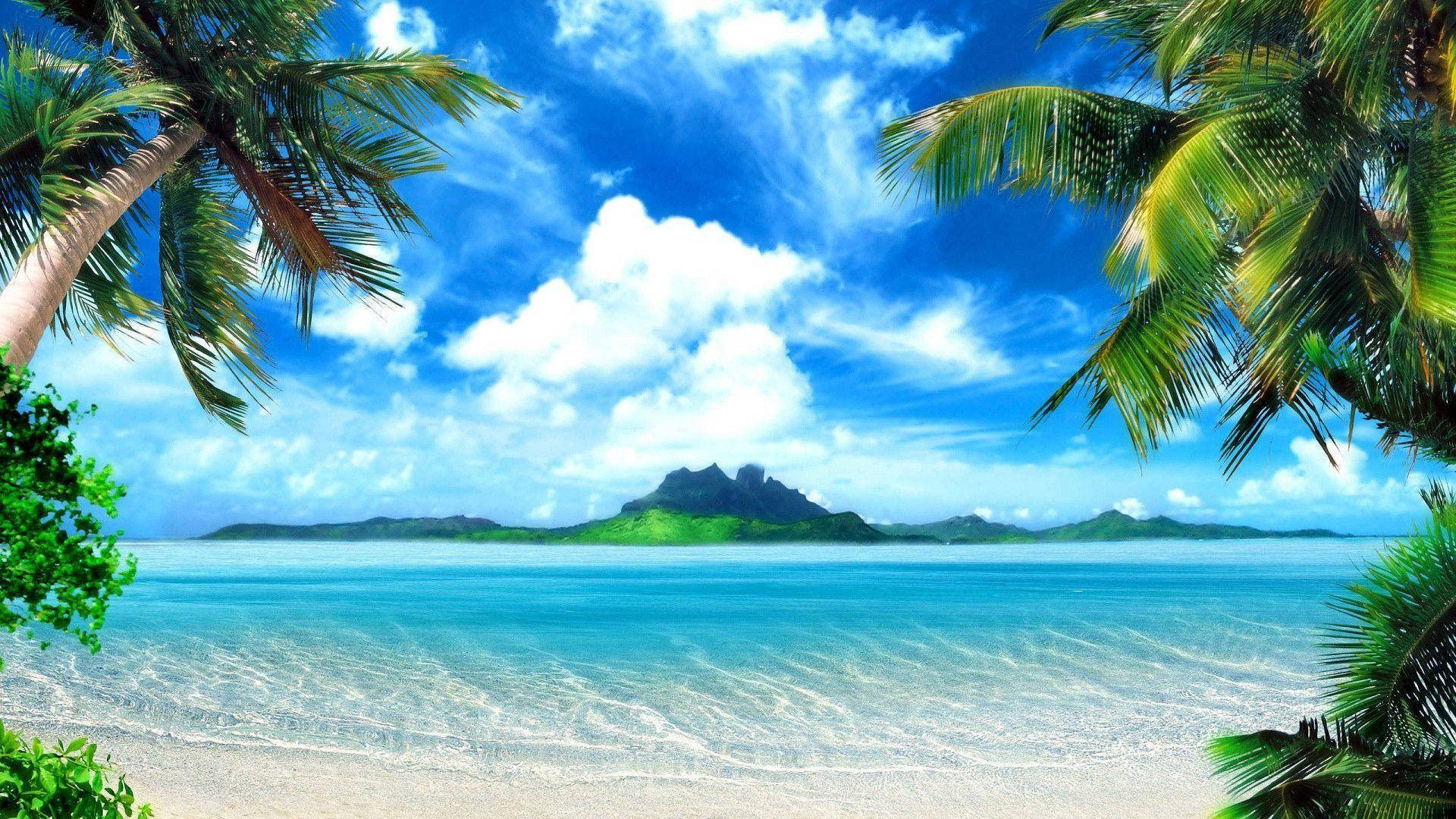a peaceful desktop wallpaper featuring a hammock strung between two palm  trees on a tropical beach --ar 16:9