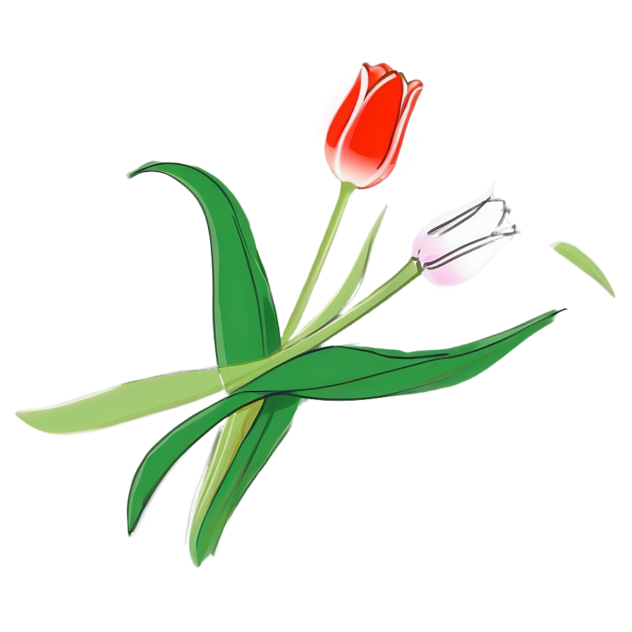 Pretty Tulip Sketch Png 62 PNG