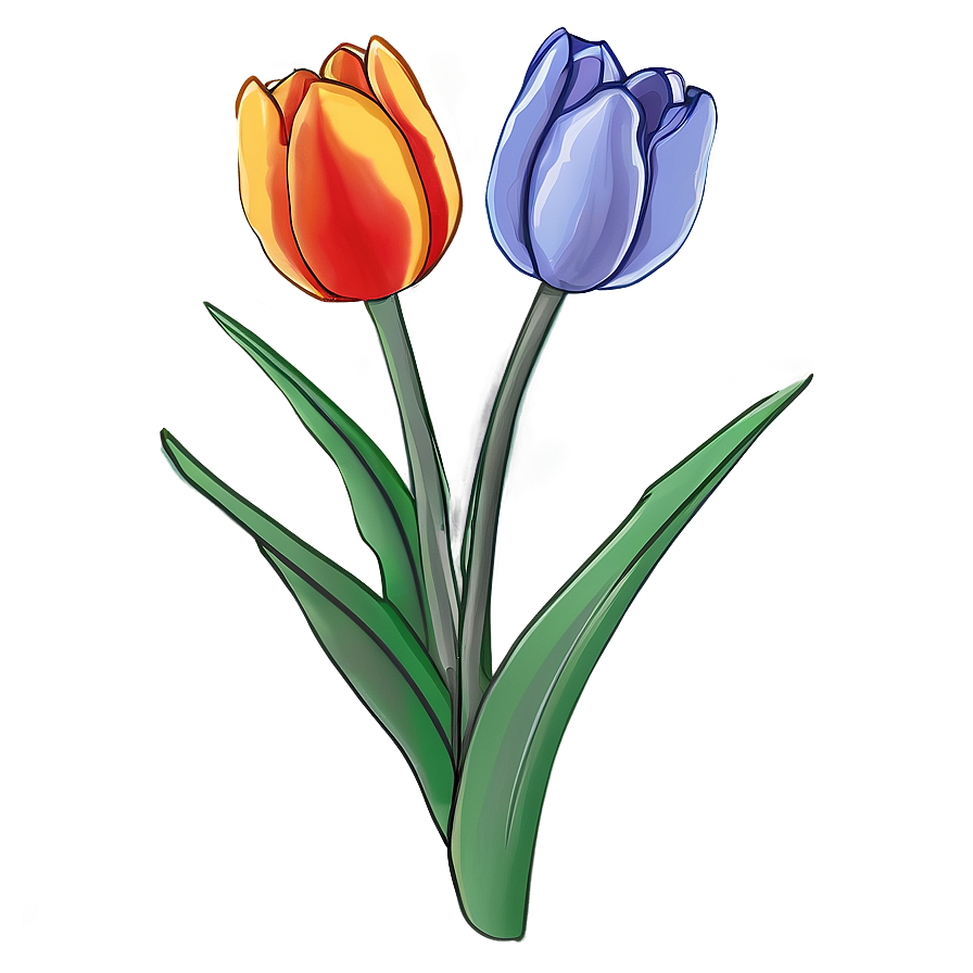 Pretty Tulip Sketch Png Oxa PNG