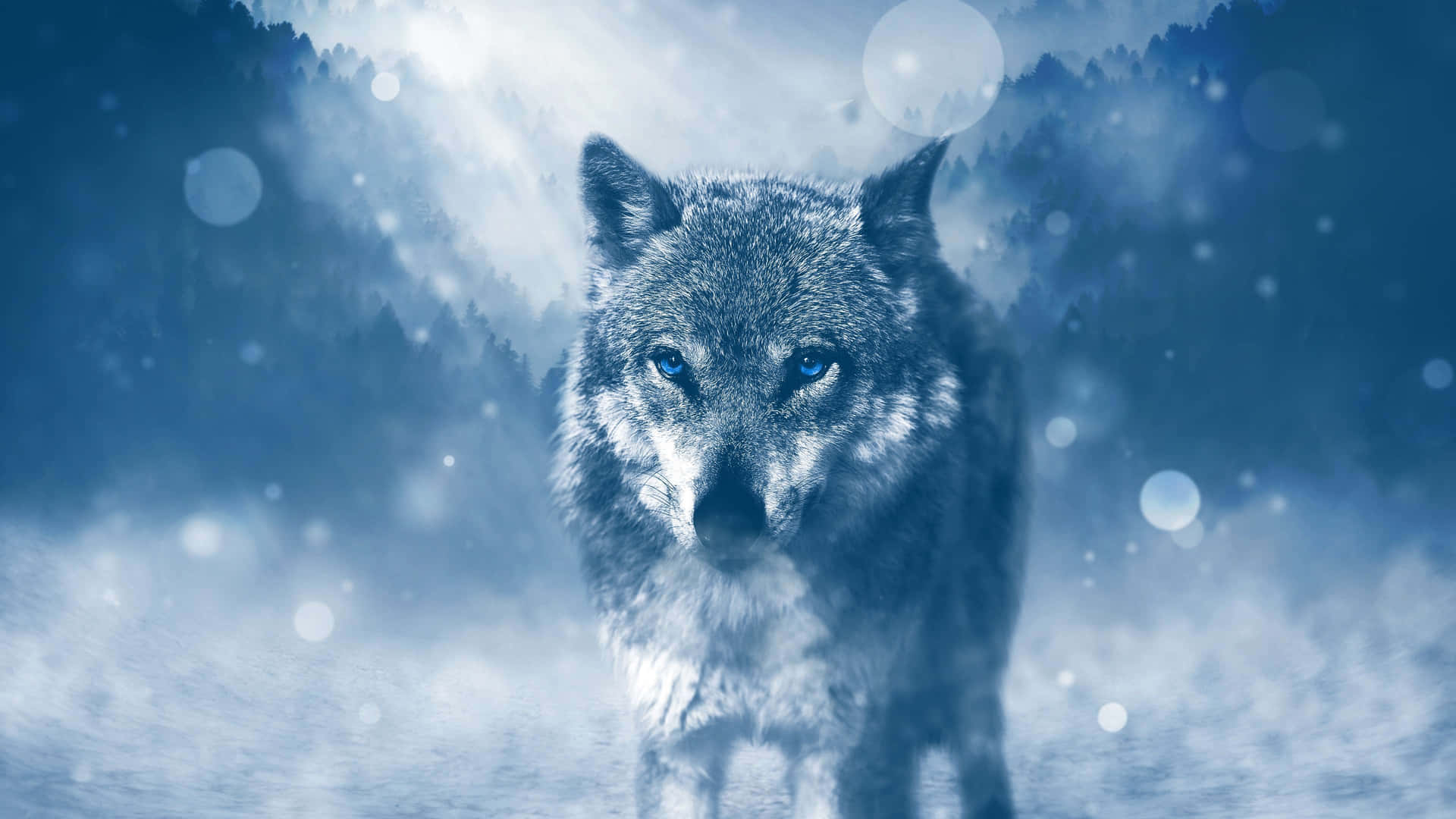 "The Majesty of the Pretty Wolf" Wallpaper