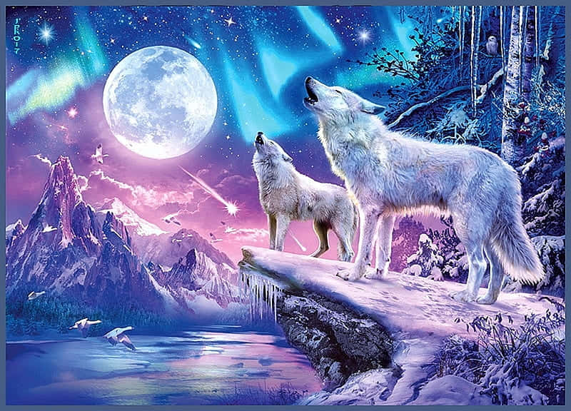 "The beauty of the wolf" Wallpaper
