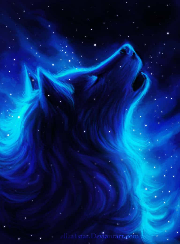 Look into the eyes of a majestic Pretty Wolf. Wallpaper