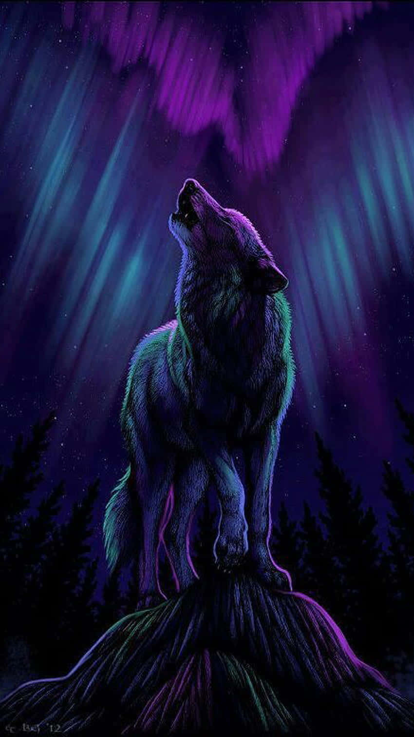"The Majestic Pretty Wolf" Wallpaper