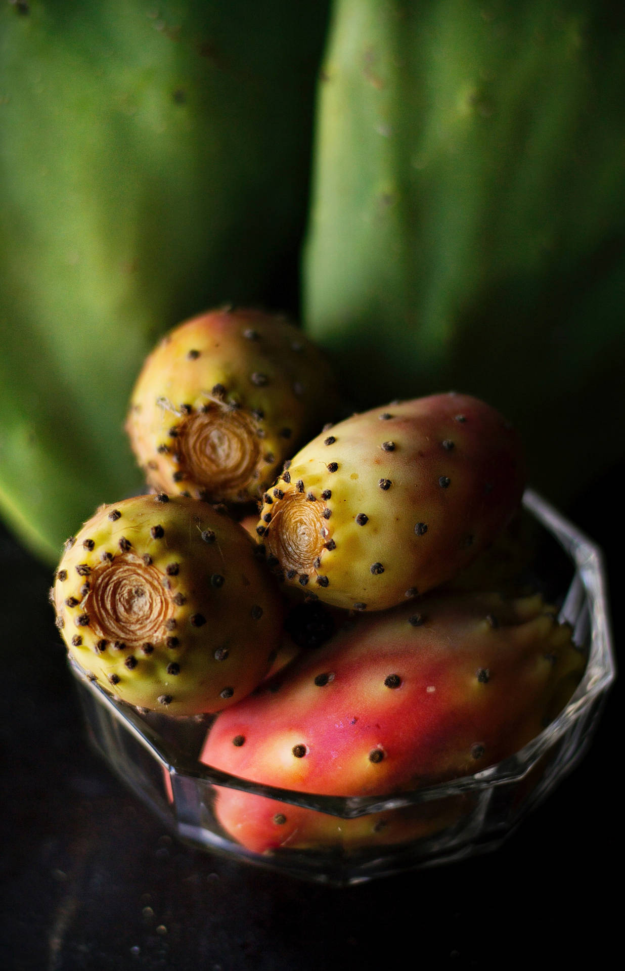 Prickly Pear Fruit Wallpaper