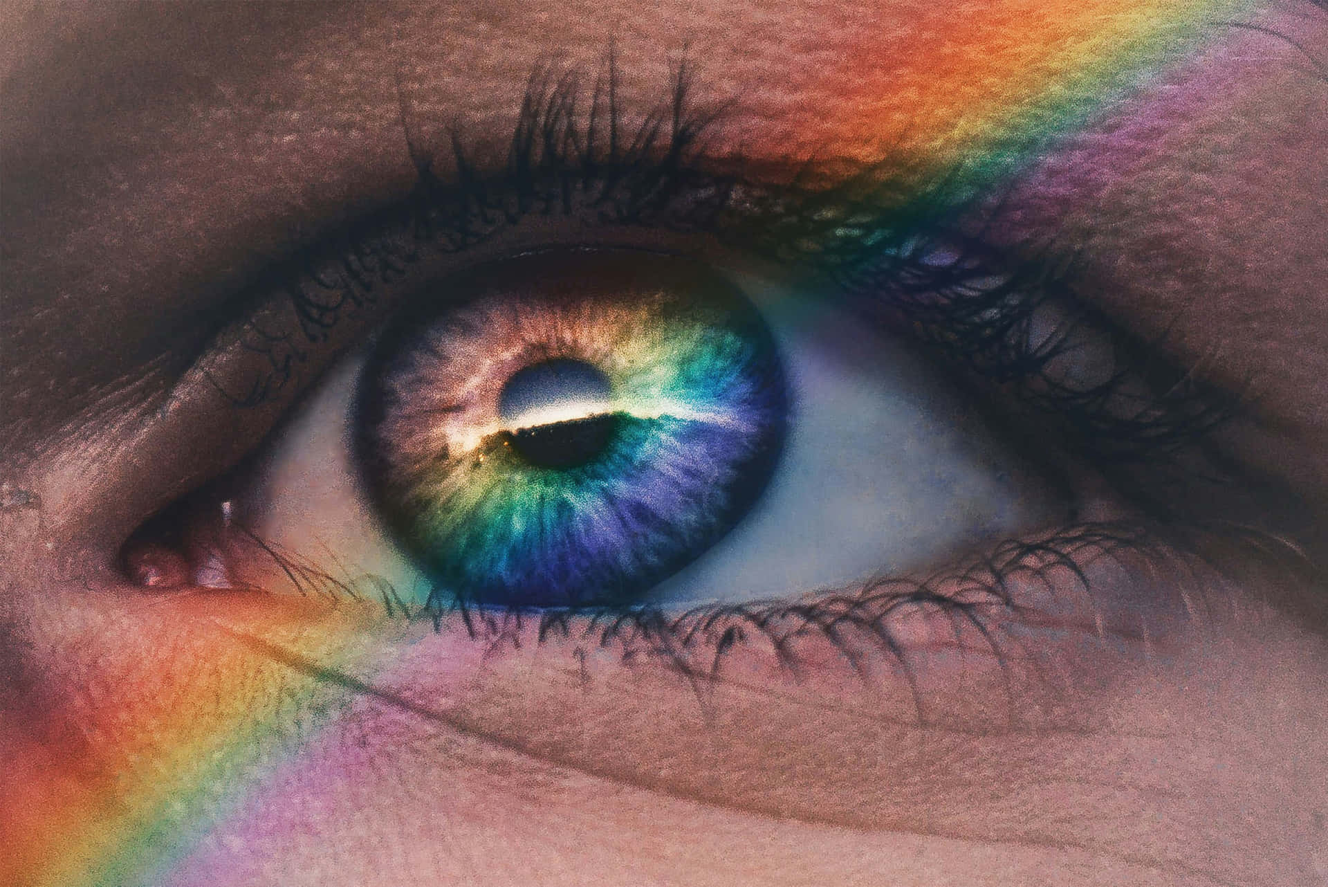Pride Colored Eye Closeup Wallpaper