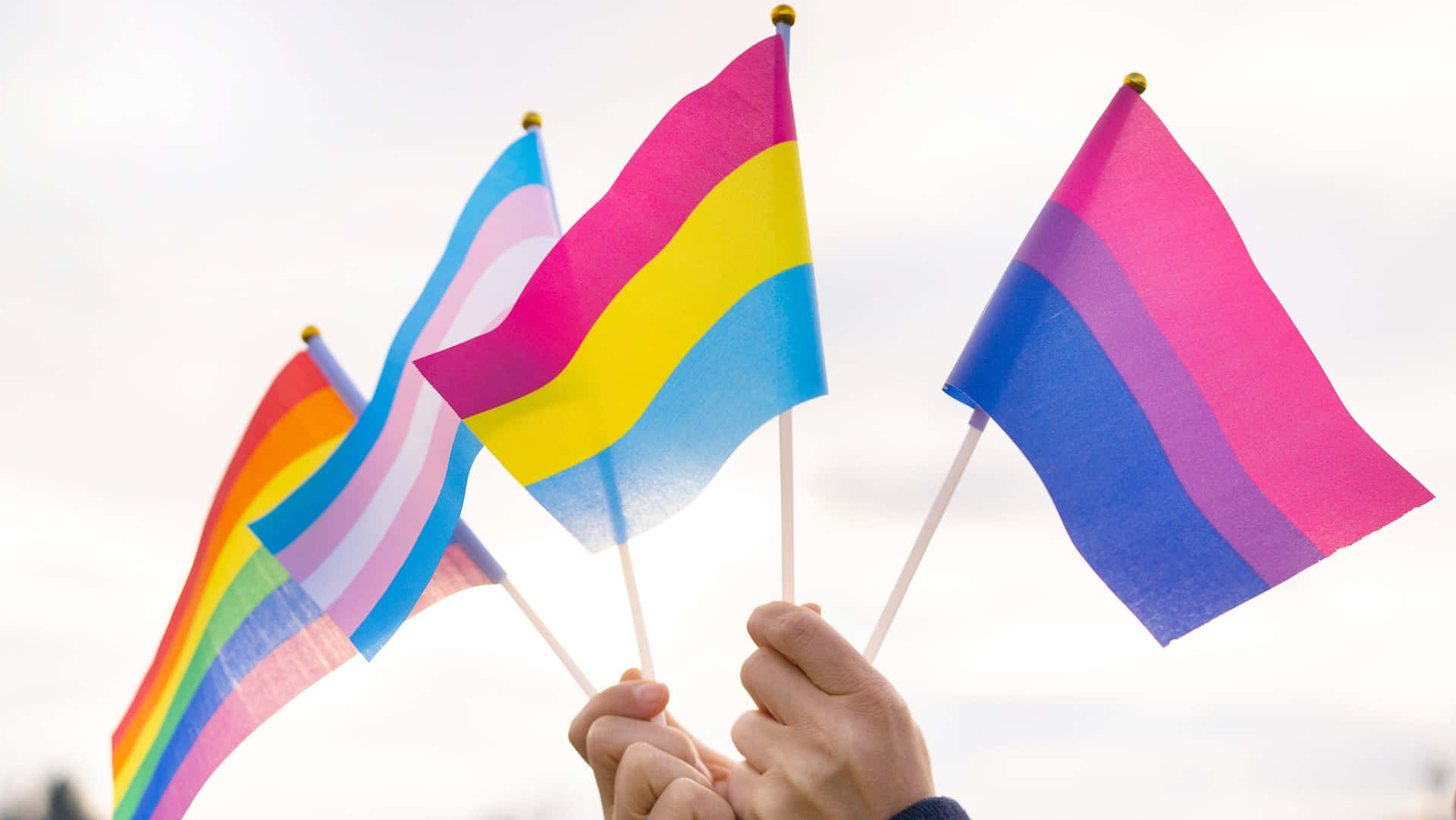 Celebrate Pride with this iconic Rainbow Flag