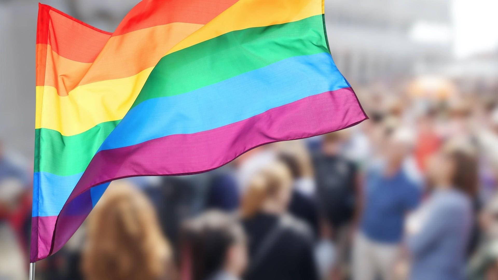 Pride Flag And People Wallpaper