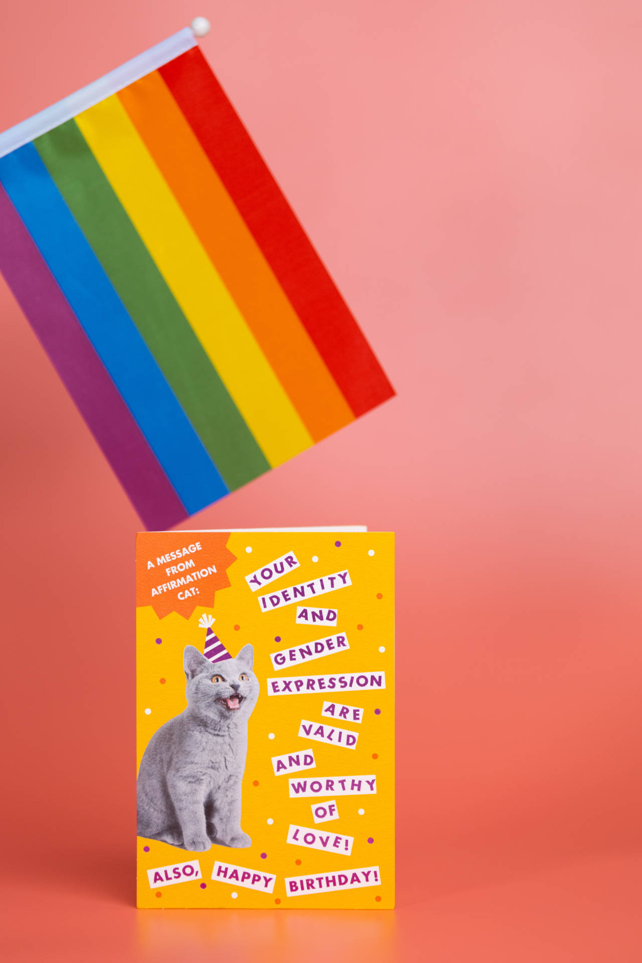 Pride Flag Cat Card Wallpaper