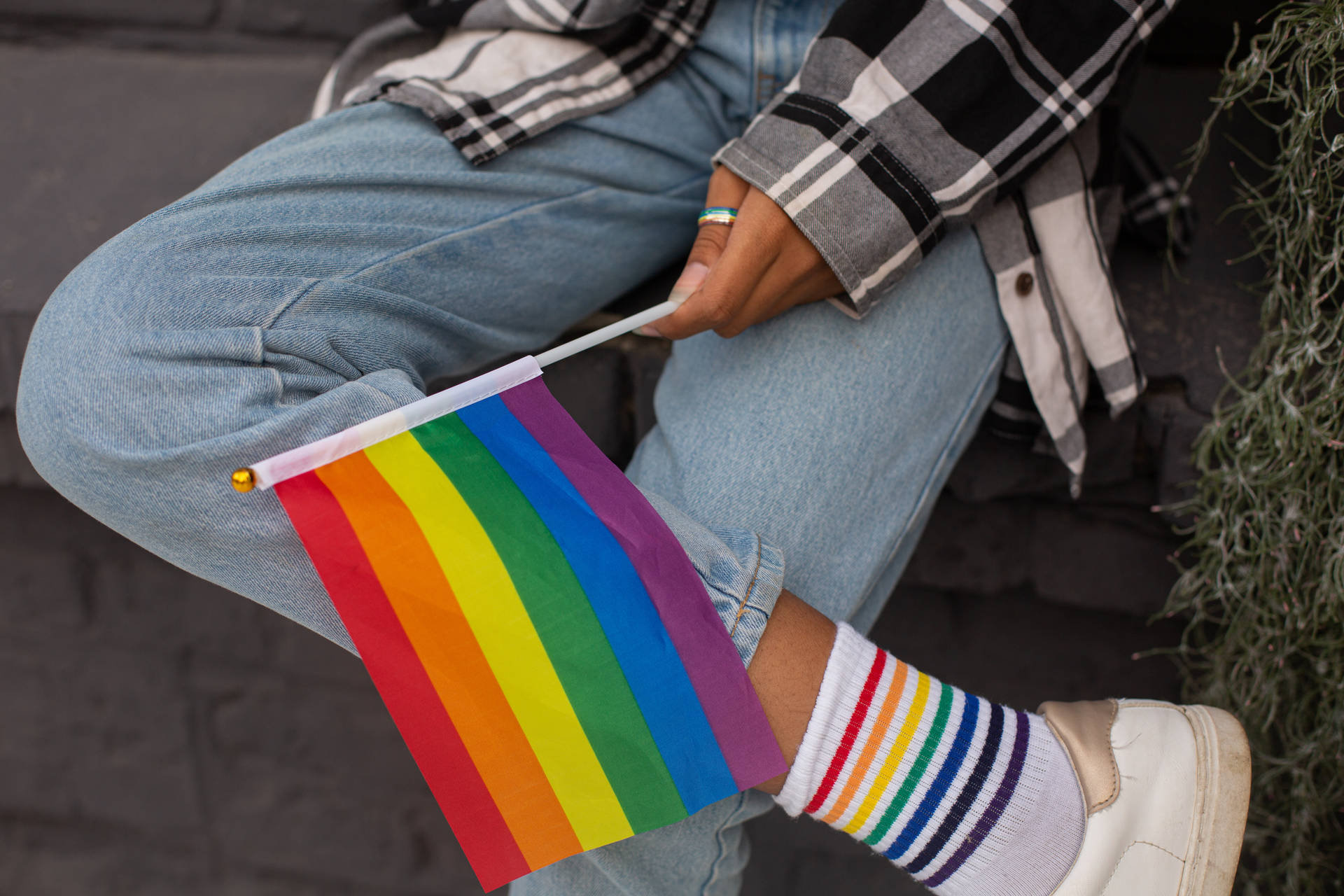 Pride Flag Rainbow Socks Wallpaper