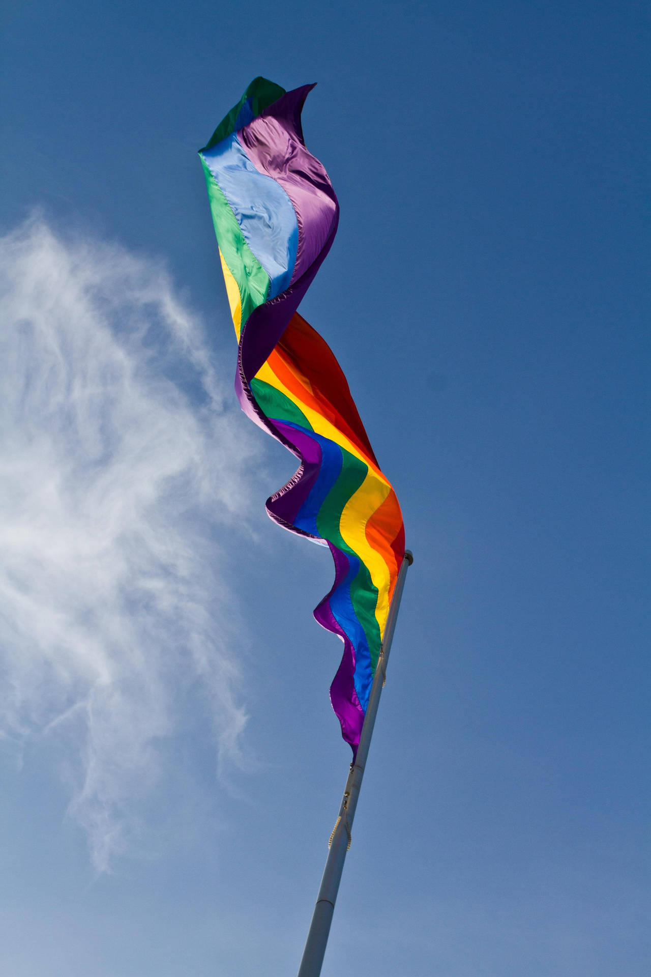 Pride Flag Vertical Wallpaper