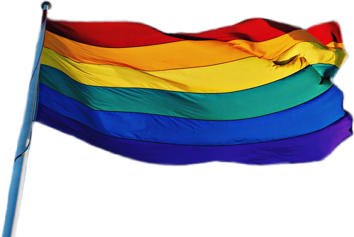 Download Pride Flag Waving | Wallpapers.com