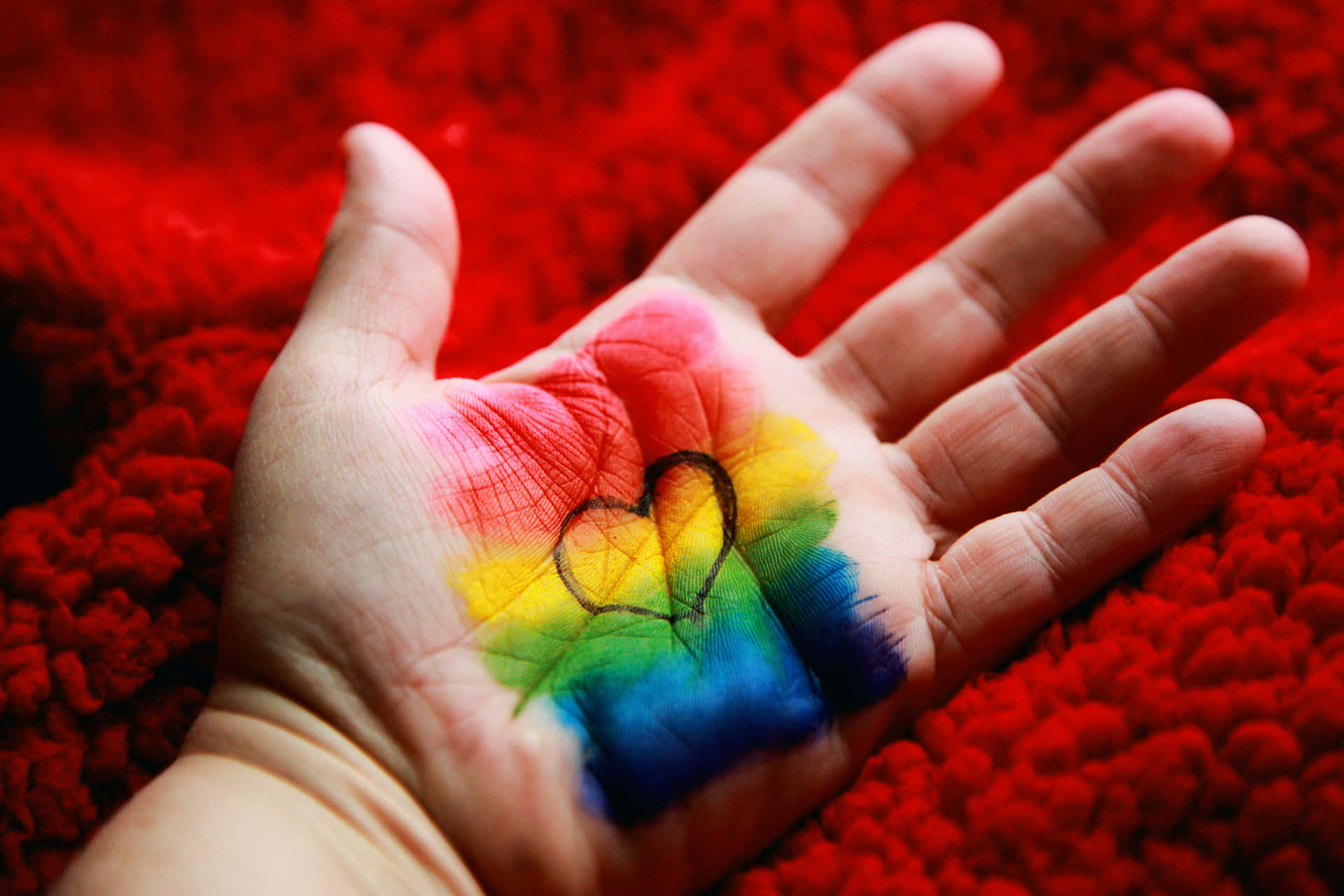 Pride Heart Palm Rainbow Colors Wallpaper