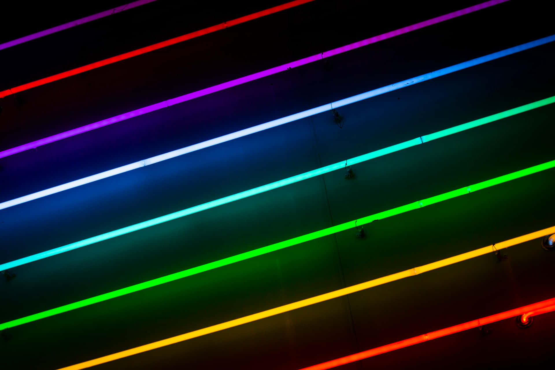 Pride Month_ Rainbow Lights Abstract Wallpaper