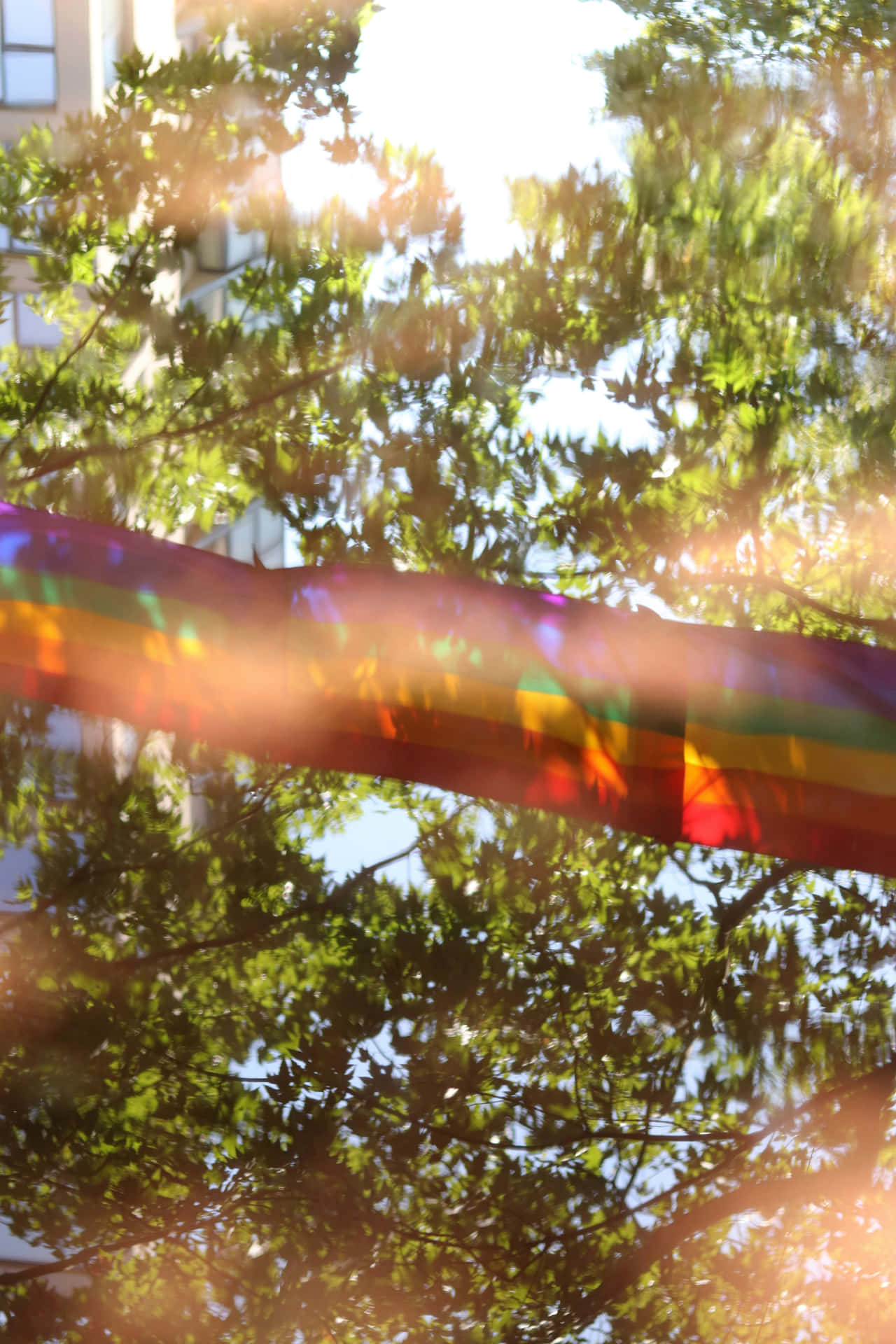 Pride Month_ Rainbow Reflections.jpg Wallpaper