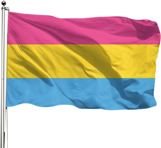 Pride Pansexual Flag Waving PNG