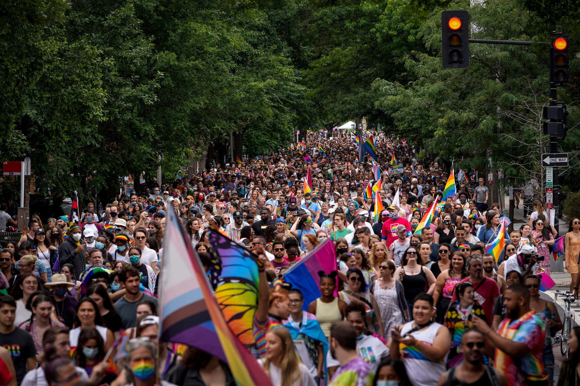 LQBTQ+ fællesskab Parade Under Pride Month Billede
