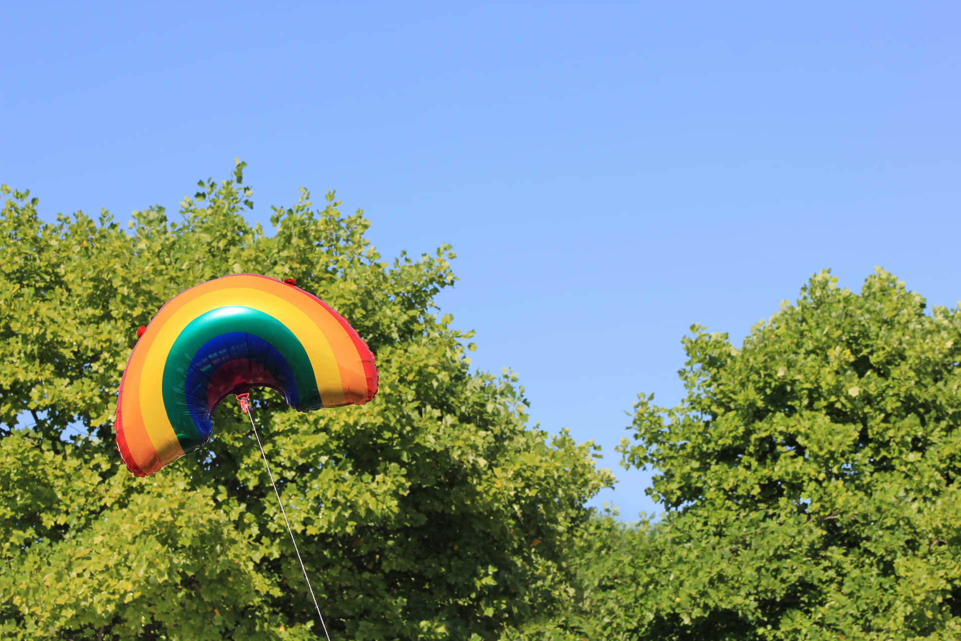 Pride Rainbow Balloon Sky Wallpaper