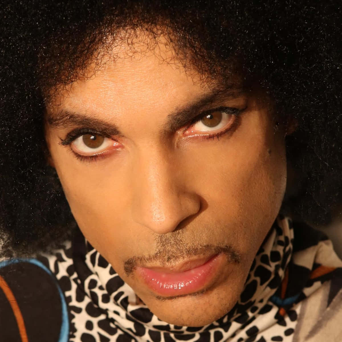 Prince, the legendary artist and innovator
