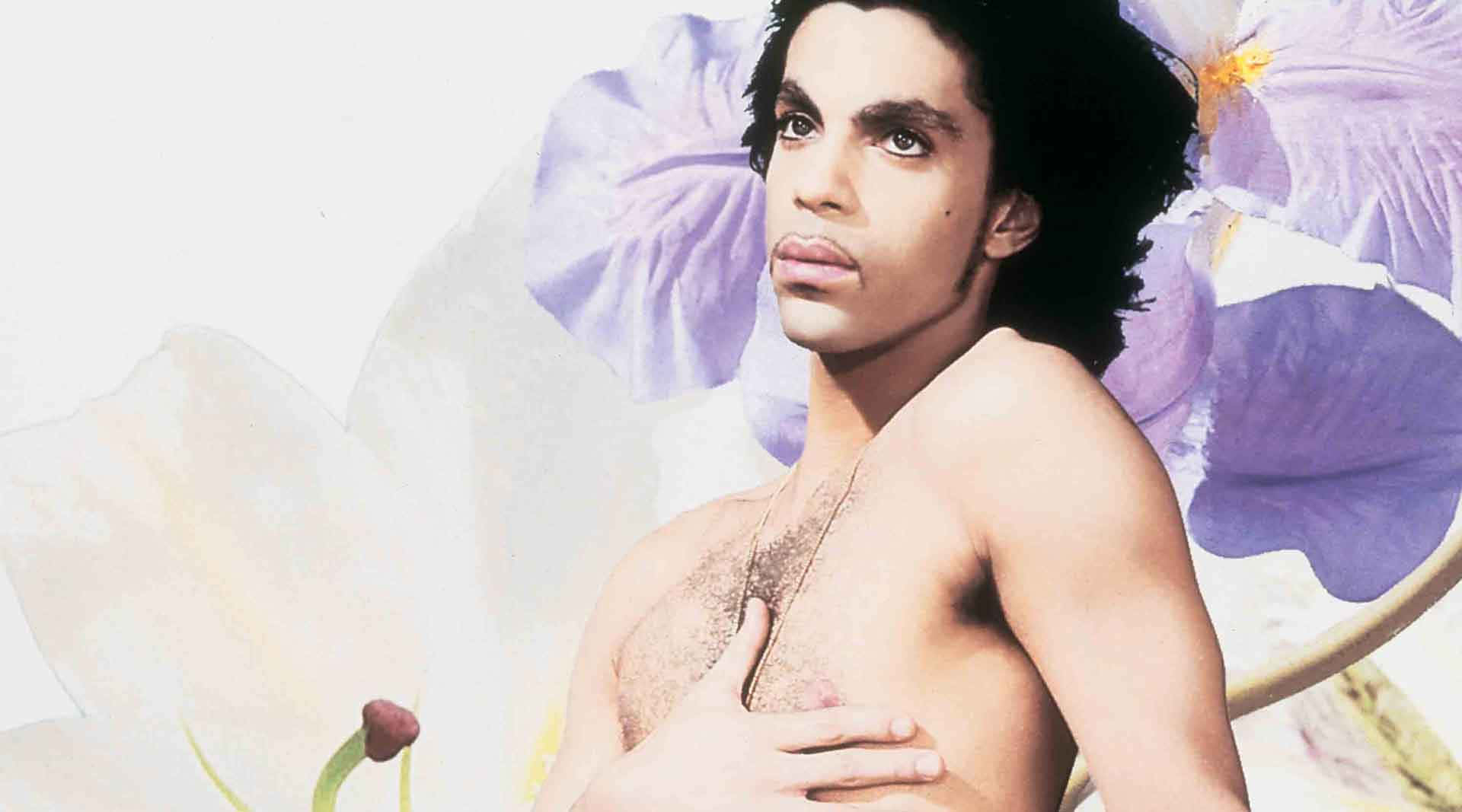 Feiernden Legendären Künstler Prince.