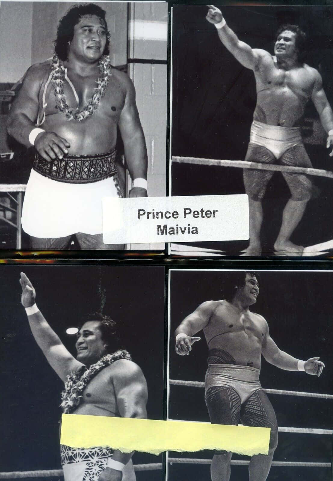 Prince Peter Maivia In Monochrome Wallpaper