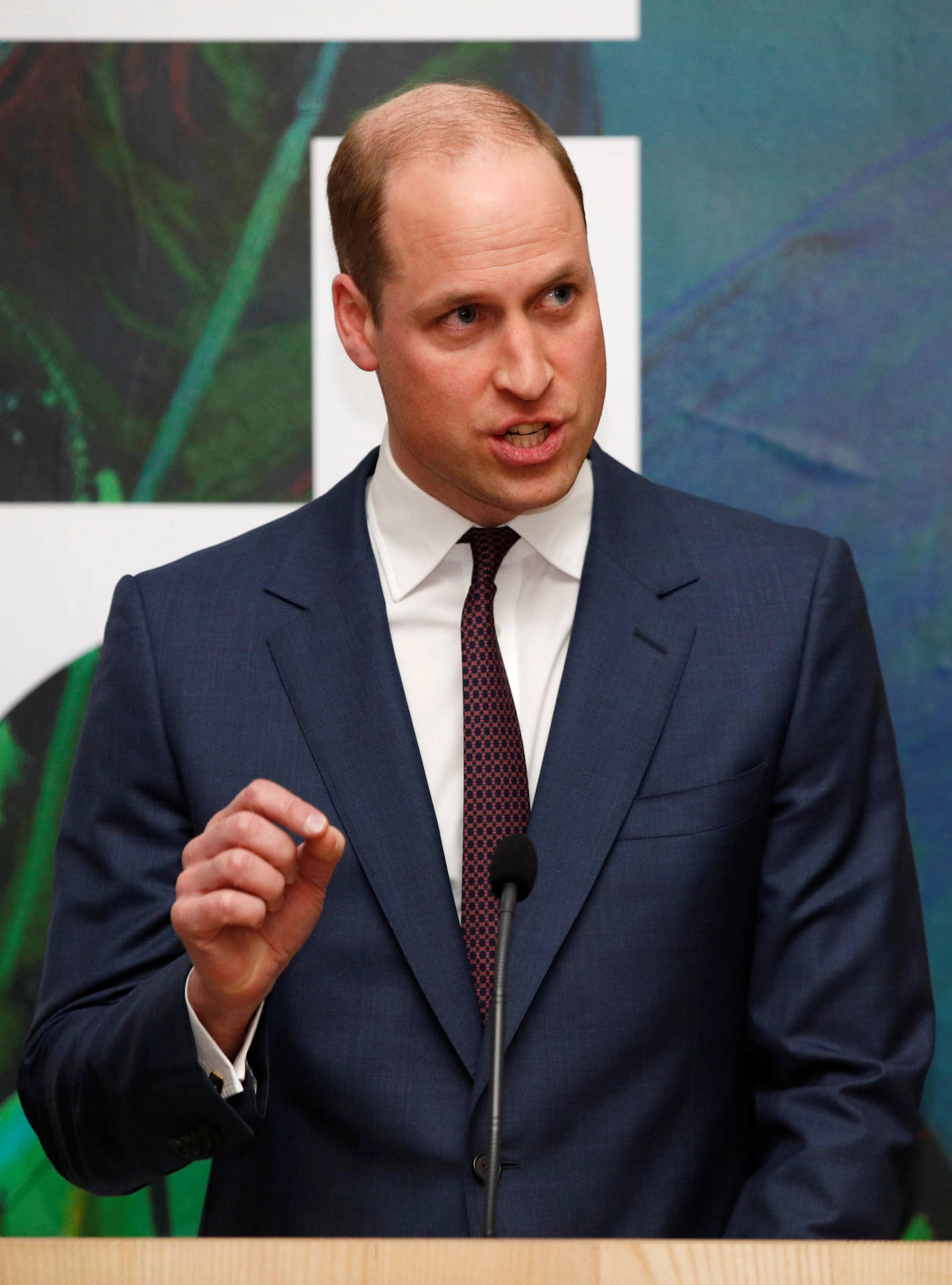 Prince William Speaking Into The Mic Wallpaper