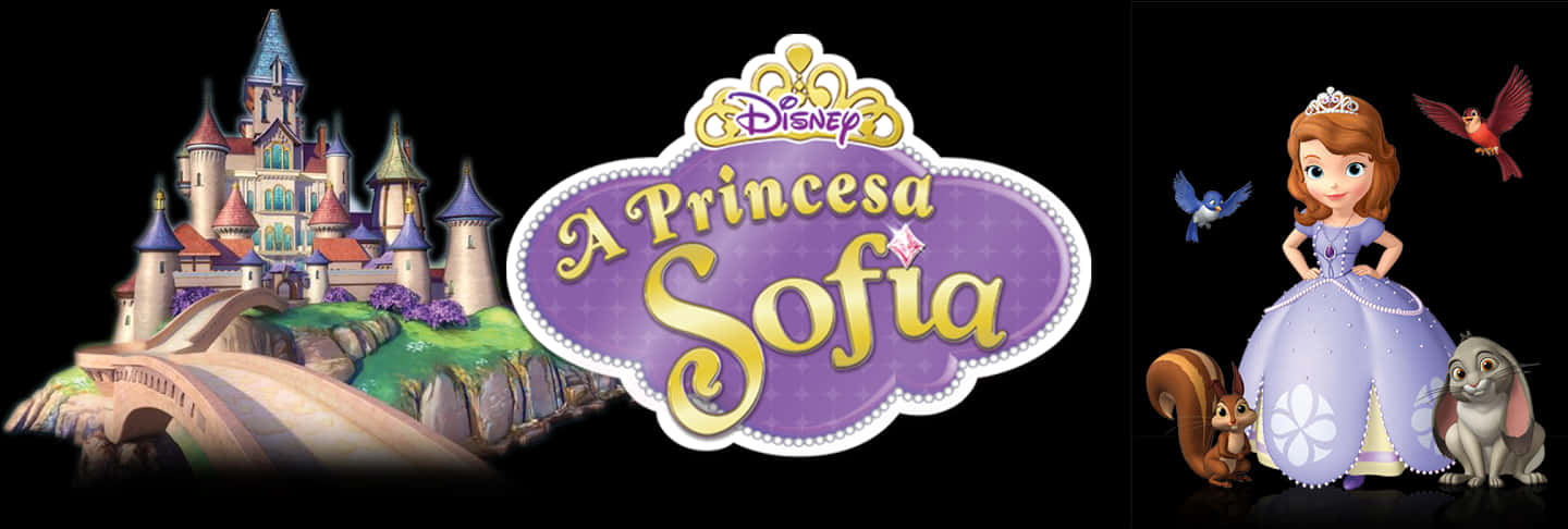 Princesa Sofia Disney Casteloe Personagens PNG