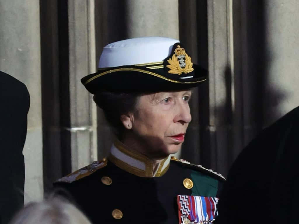 Princess Anne In Military Uniform Picture