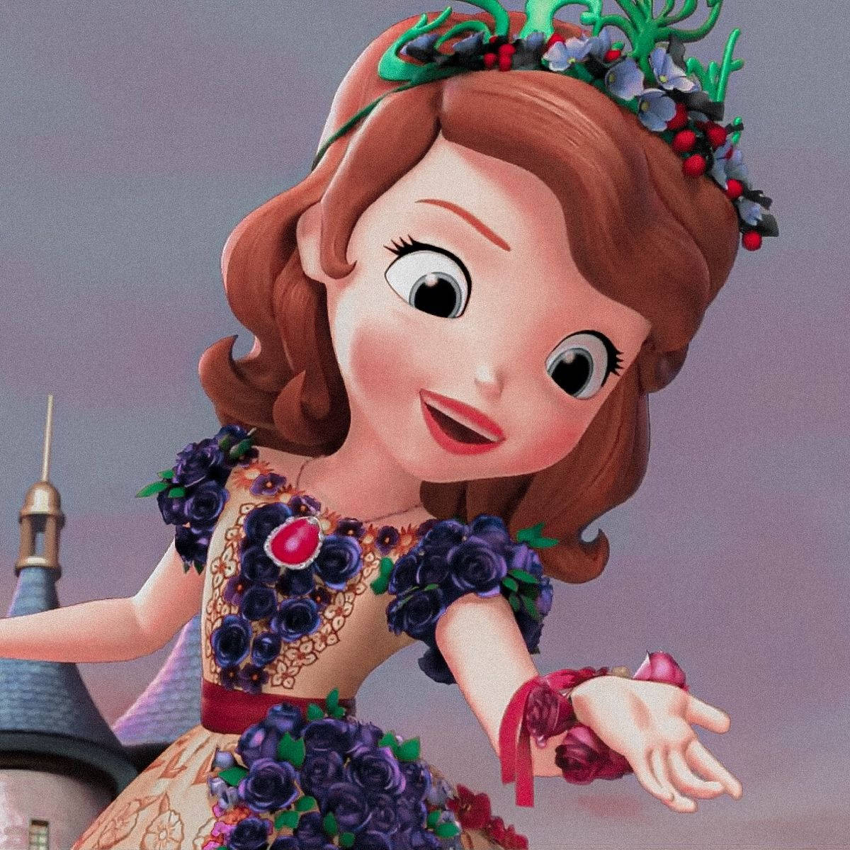 Princess Sofia In Fairy Dress Background