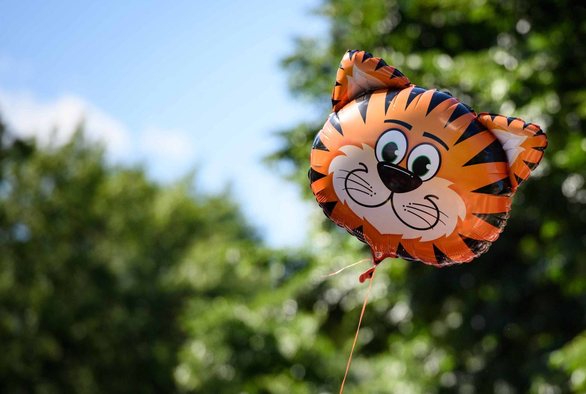 Princeton University Tiger Head Balloon Wallpaper