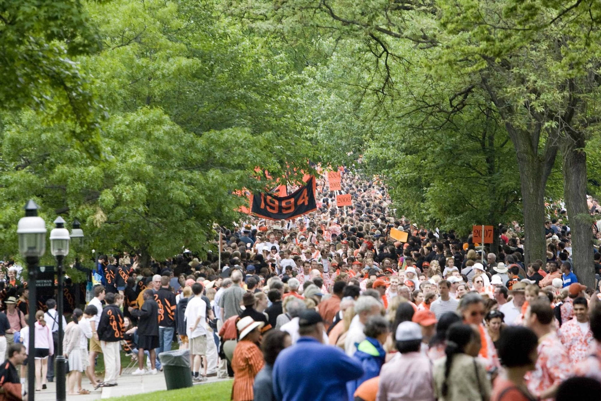 Princeton University Tigers Parade Wallpaper