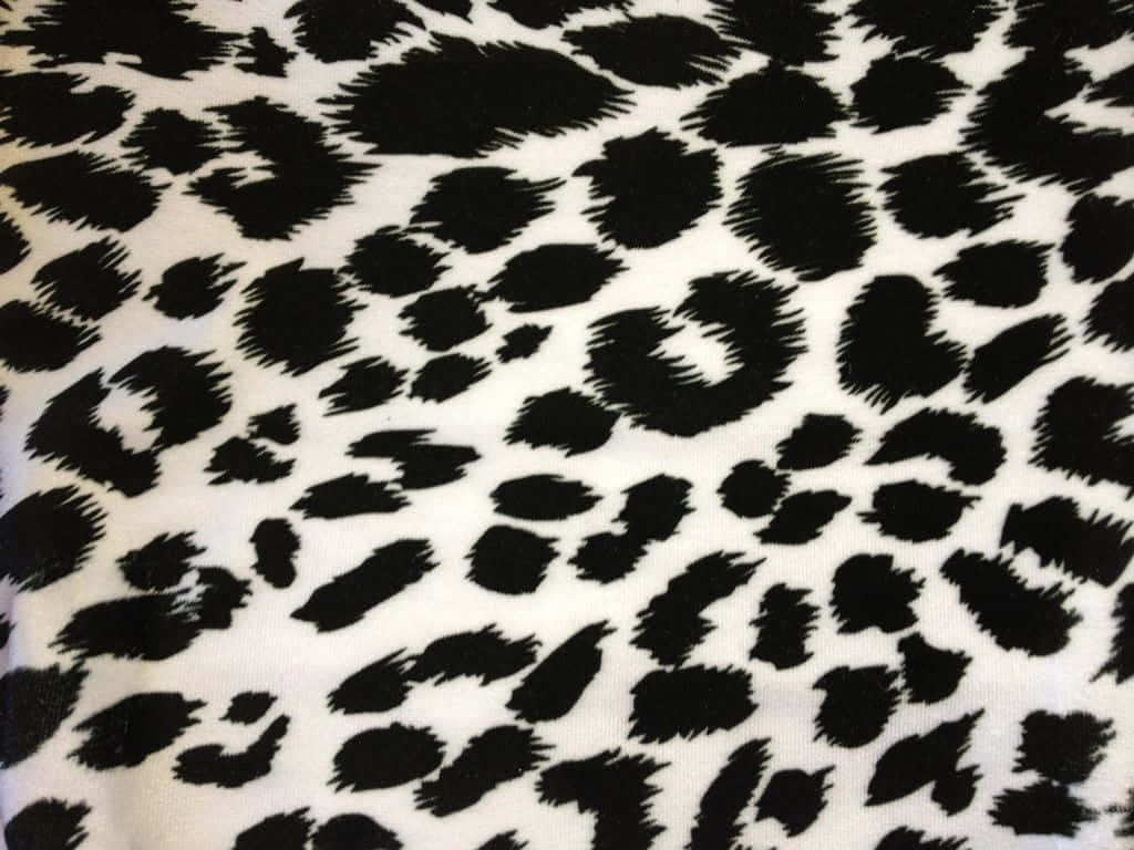 Ennärbild Av Ett Svartvitt Leopardmönstrat Tyg