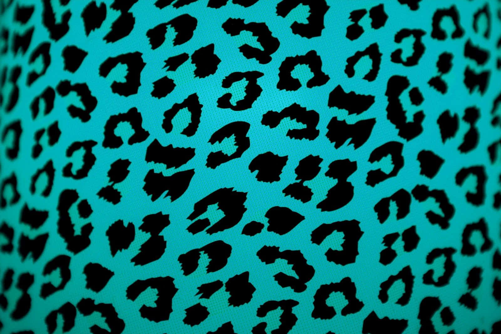 A Turquoise And Black Leopard Print Lamp Shade