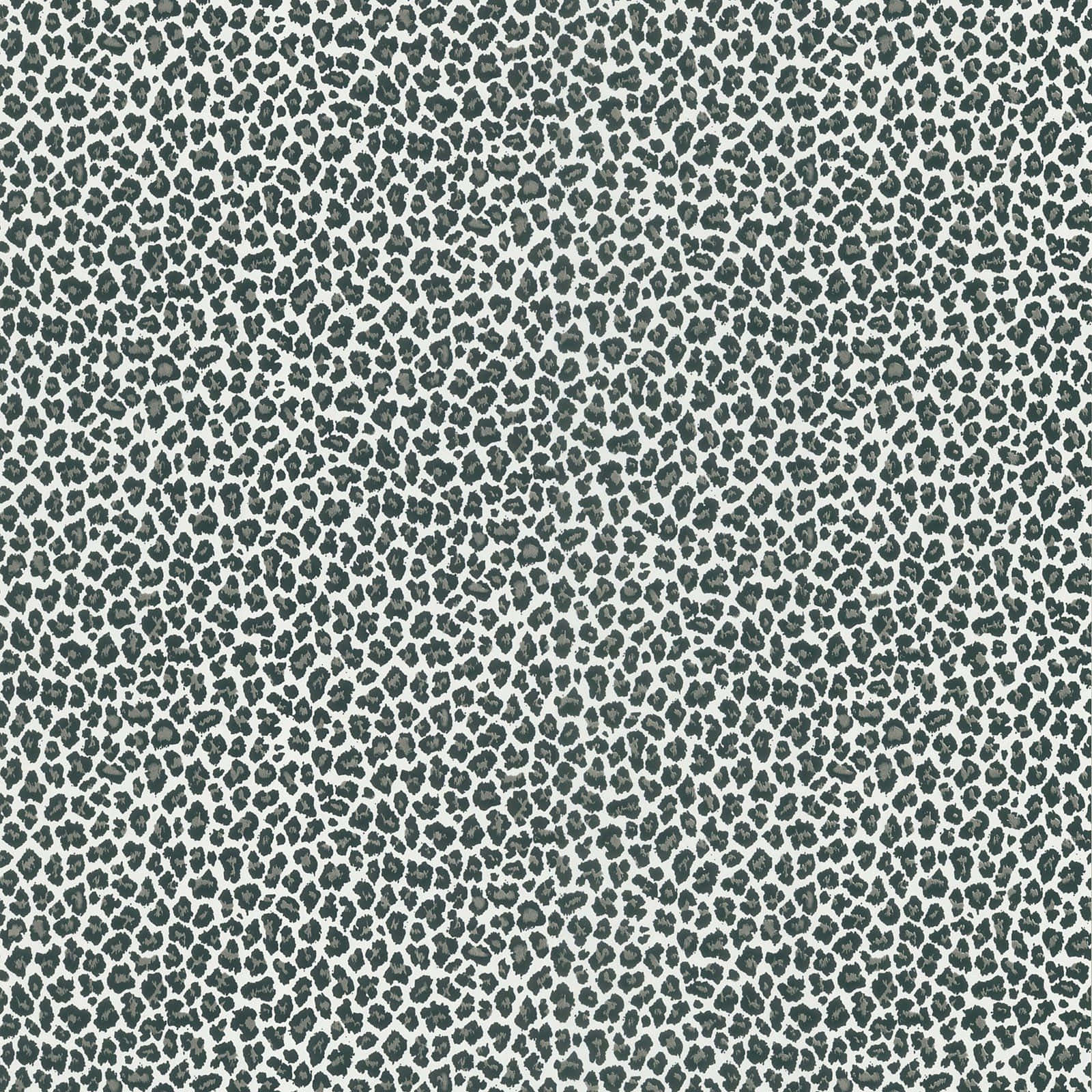 Ensort-hvid Leopard-print Tapet.