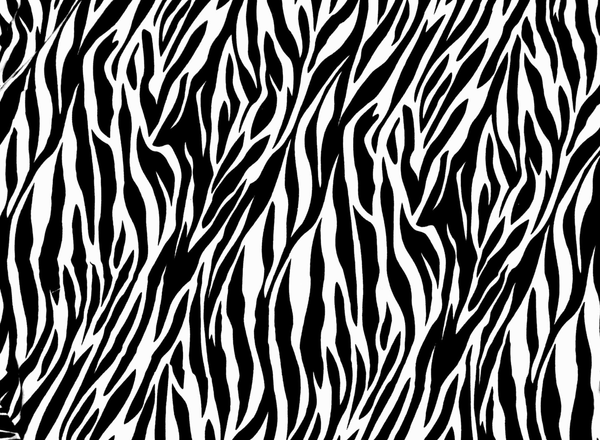 Einschwarz-weißer Hintergrund Mit Zebra-muster
