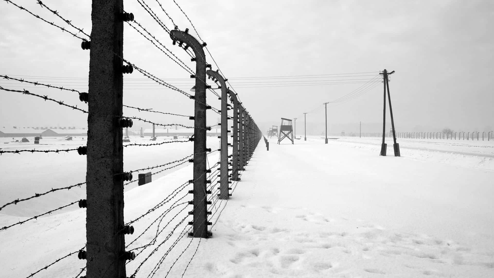 A Barbed Wire Fence In The Snow