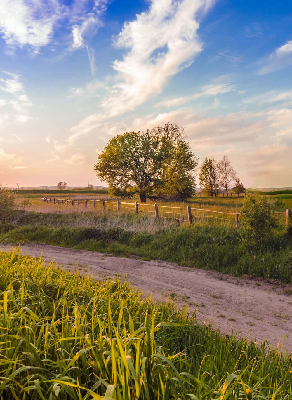 Pristine Rural Landscape Wallpaper