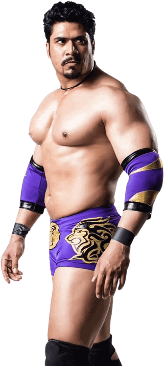 Pro Wrestler In Purple Attire PNG