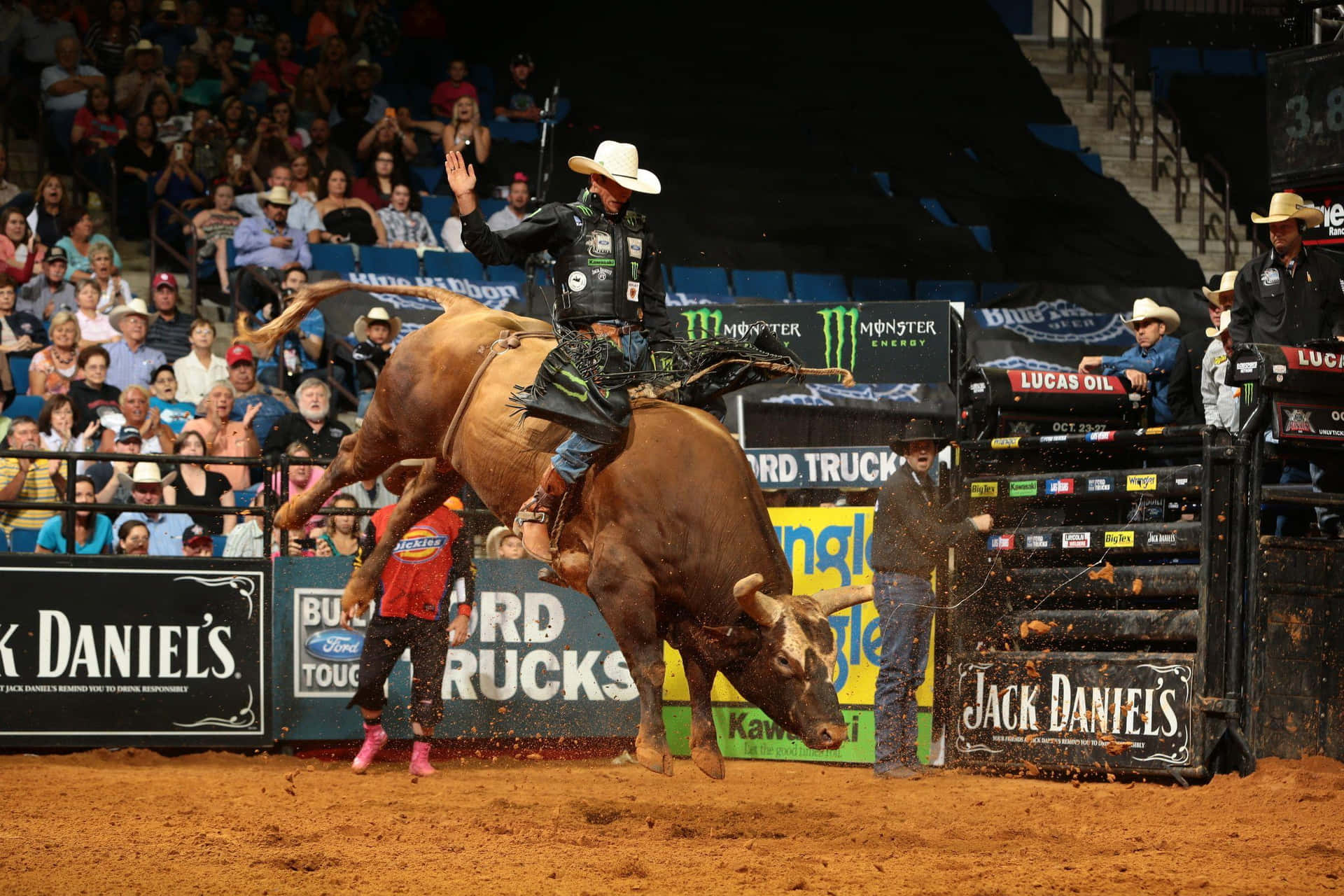 Professional Bull Riding Action Wallpaper