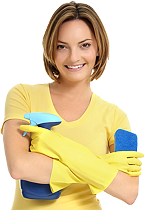 Professional Cleaner Readyto Work PNG