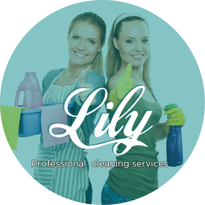 Professional Cleaning Services Team Lily PNG