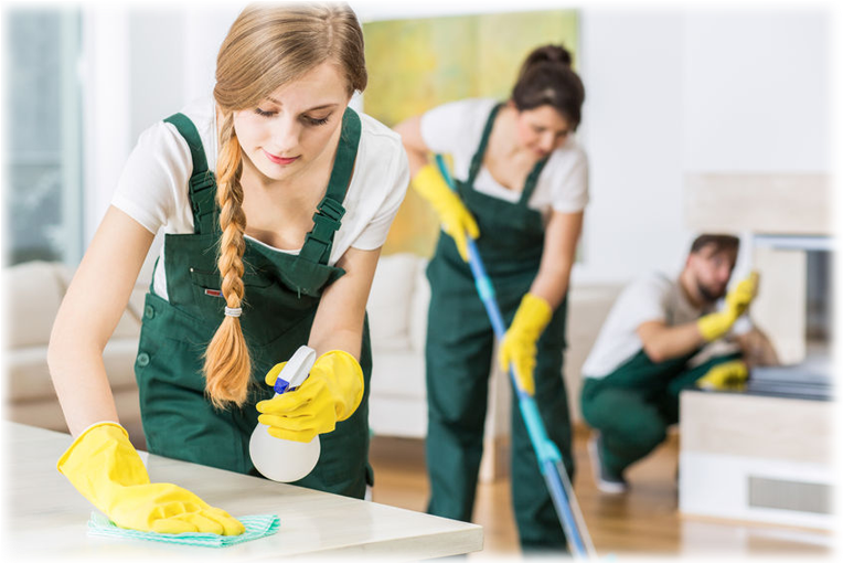 Professional Cleaning Teamat Work Melbourne PNG