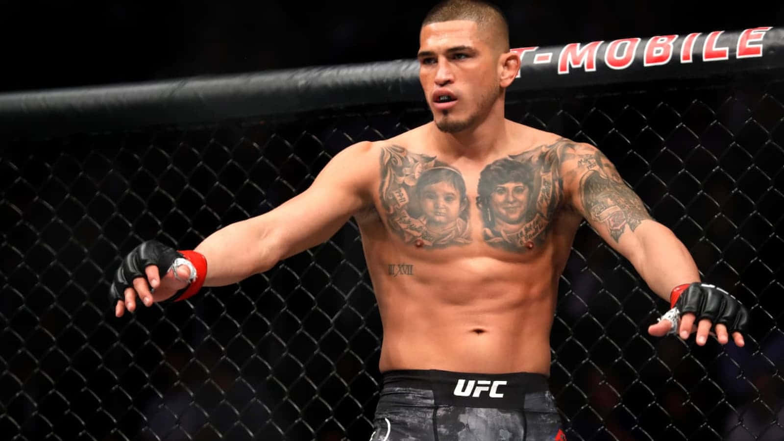 Professional Fighters League Anthony Pettis Wallpaper