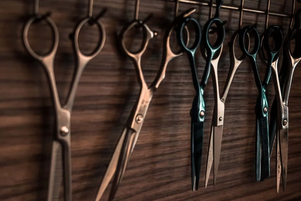 Professional Hairdressing Scissors Collection Wallpaper