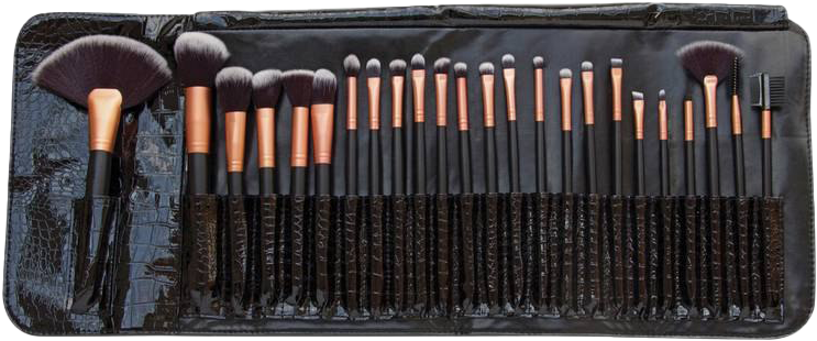Professional Makeup Brush Set PNG
