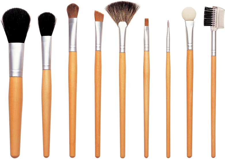 Professional Makeup Brush Set PNG