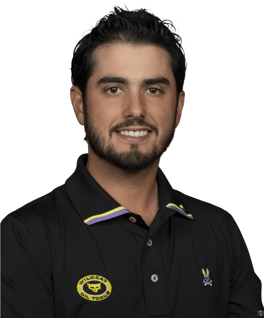 Professional Manin Black Polo Shirt PNG